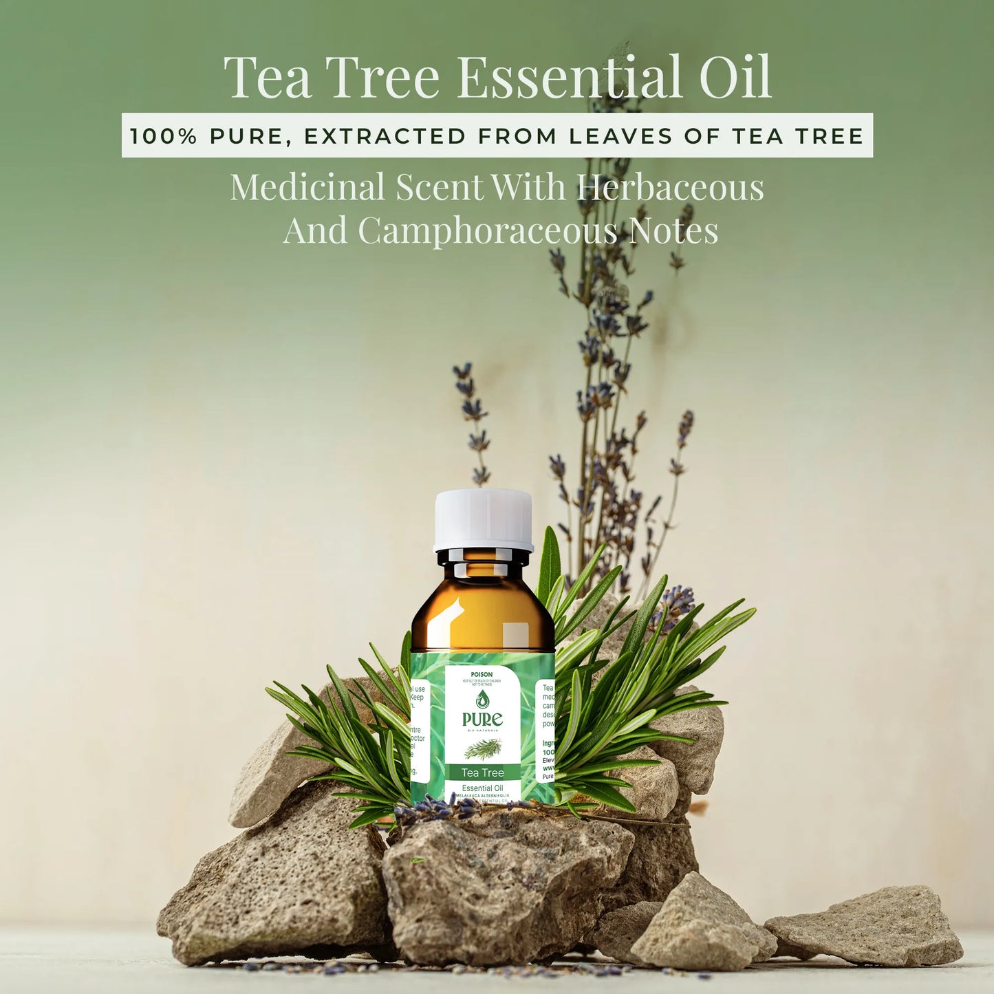 Pure Tea Tree Essential Oil