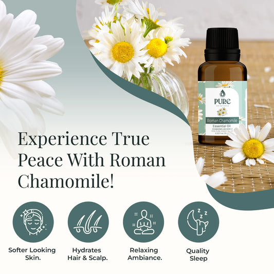 Roman Chamomile Essential Oil Uses and Benefits