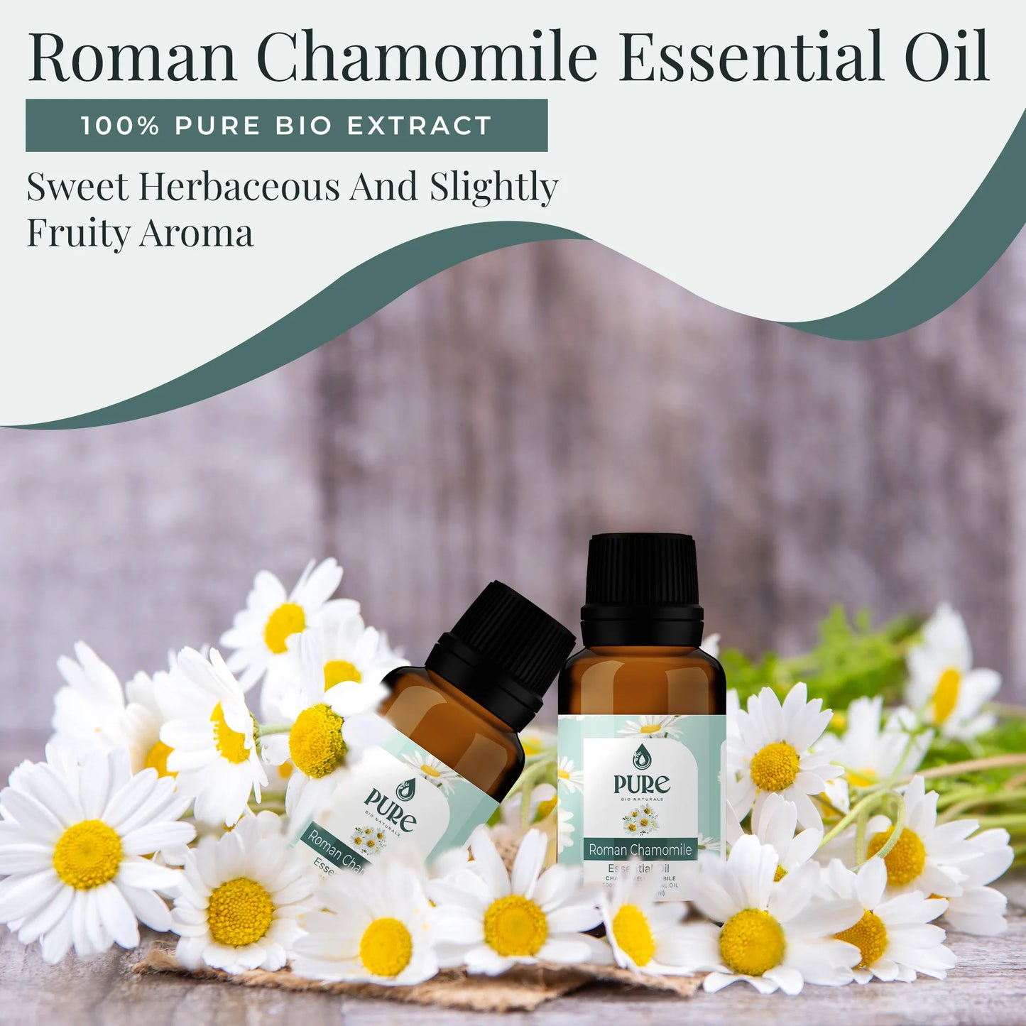 Pure Roman Chamomile Essential Oil