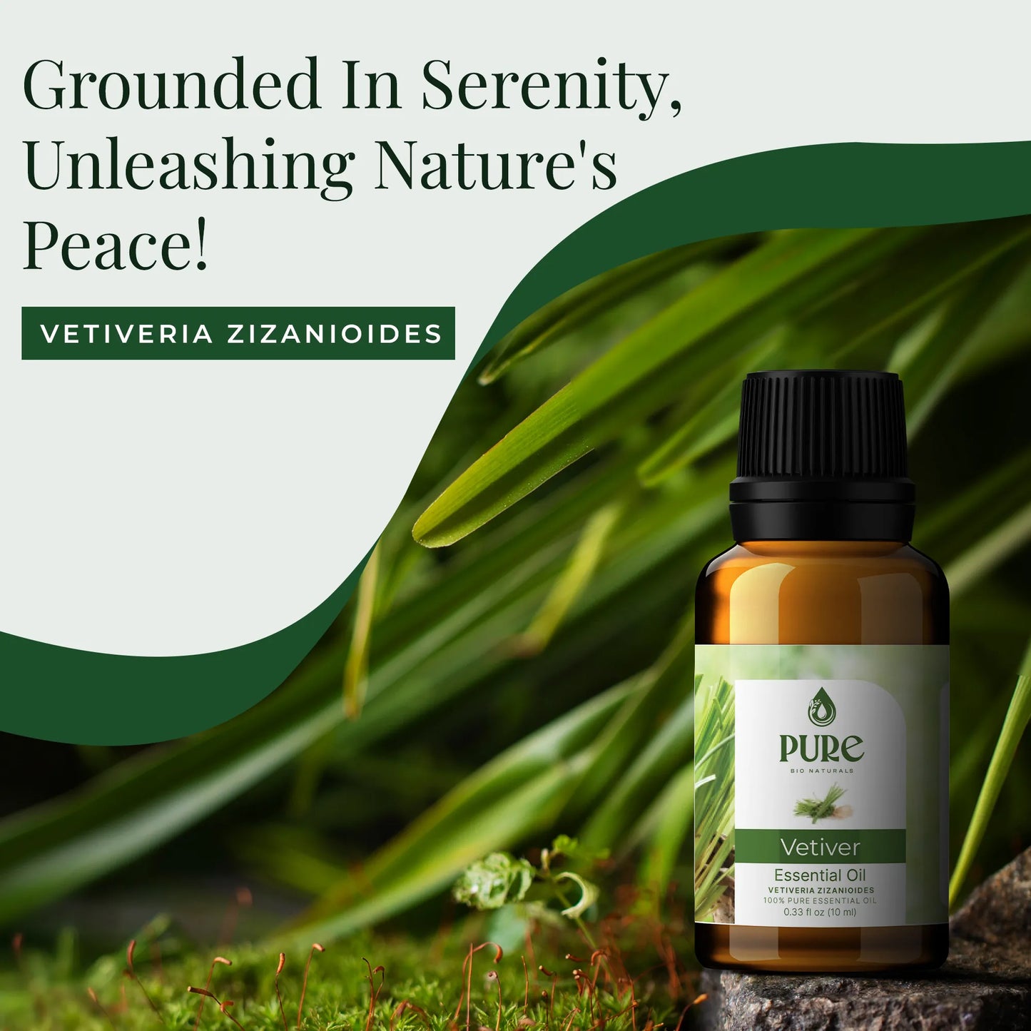 Pure Vetiver Essential Oil